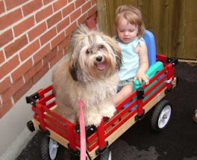 Havanese and Children