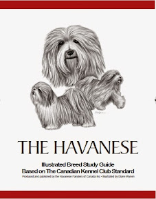 The Havanese Book